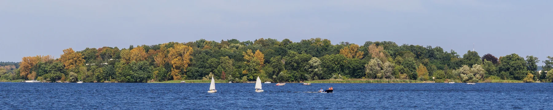 Blick über das Wasser auf die bewaldete Insel Schwanenwerder mit Segelbooten